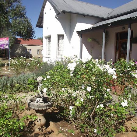 Bed and Breakfast Lavender Rose à Bethulie Extérieur photo