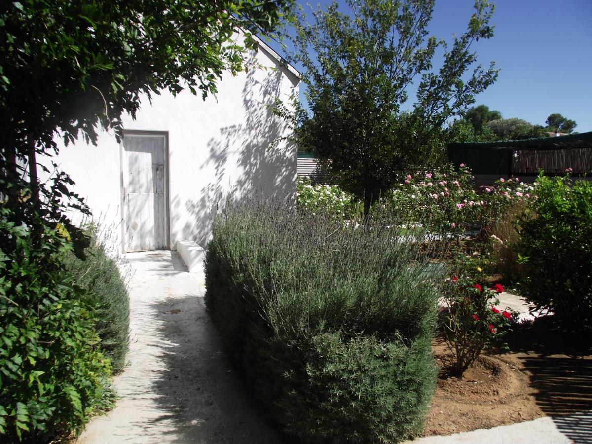 Bed and Breakfast Lavender Rose à Bethulie Extérieur photo