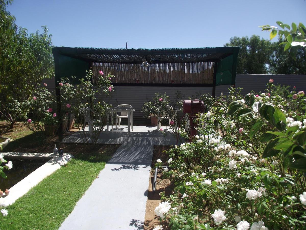 Bed and Breakfast Lavender Rose à Bethulie Extérieur photo